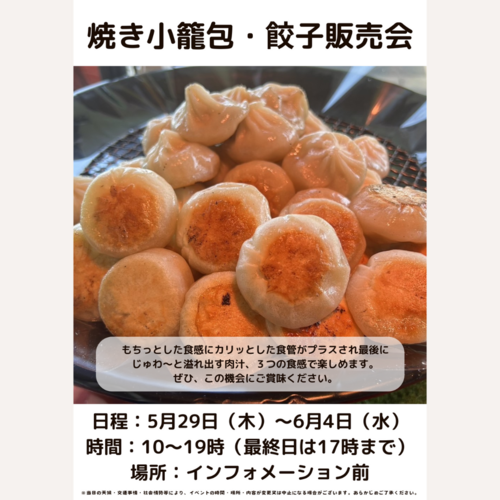 saizi