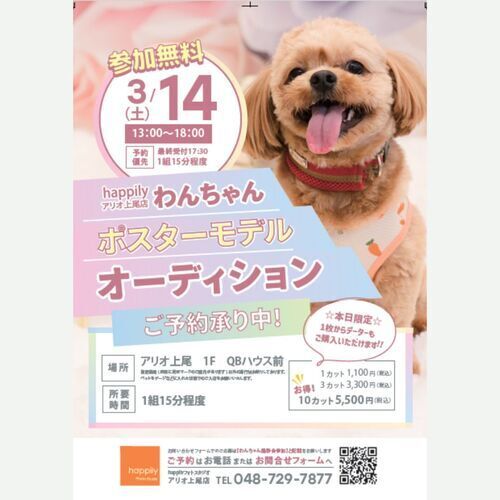 ハピリィフォトスタジオ　わんちゃんポスターモデルオーディション撮影会