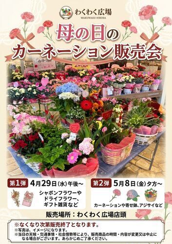 母の日のカーネーション特設販売会