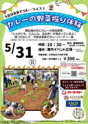 カレーの野菜掘り体験