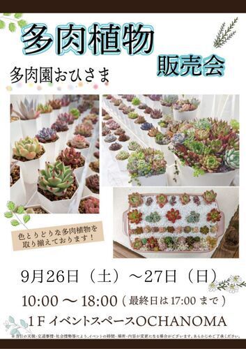 多肉植物販売会 開催