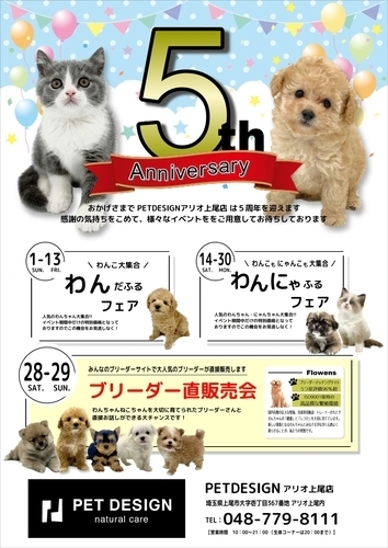 5周年祭